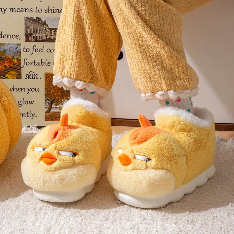 New Cute Cartoon Indoor Slippe - Men Shoes For Winter 评论和价格